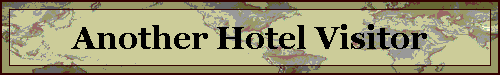Another Hotel Visitor