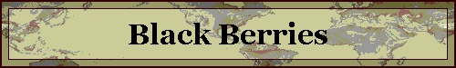 Black Berries