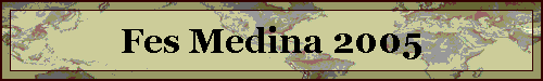 Fes Medina 2005