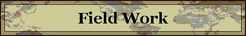 Field Work