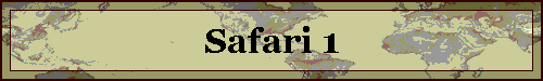 Safari 1