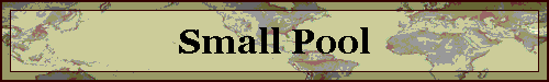 Small Pool