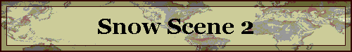 Snow Scene 2