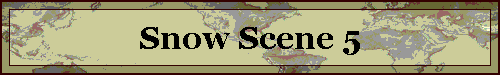 Snow Scene 5