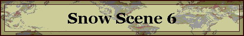 Snow Scene 6