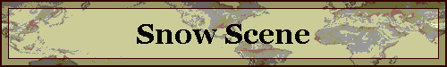 Snow Scene
