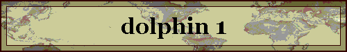 dolphin 1