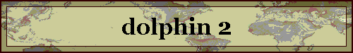 dolphin 2