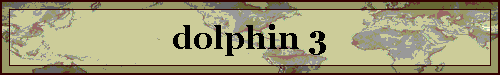 dolphin 3