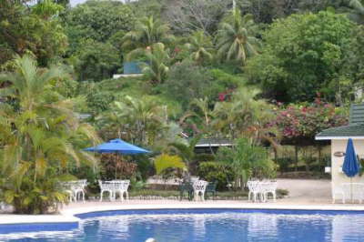 Around The Pool