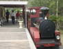 Tourist Train