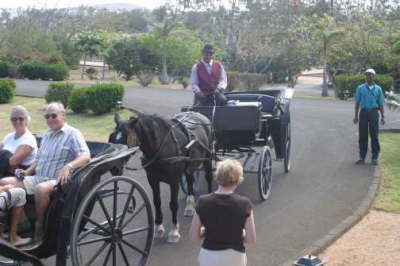 More Carriages