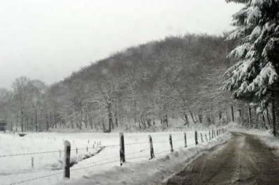 Snow Scene 6