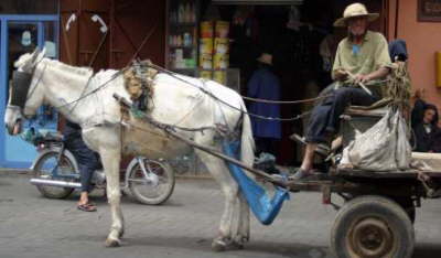Local Delivery