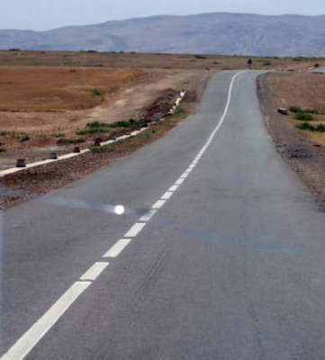 Into The Desert