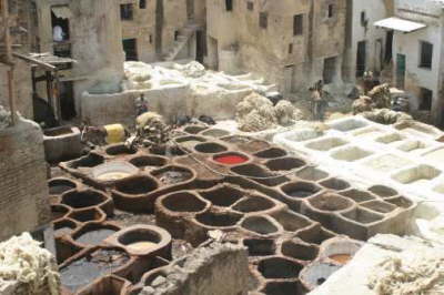 Tannery 2