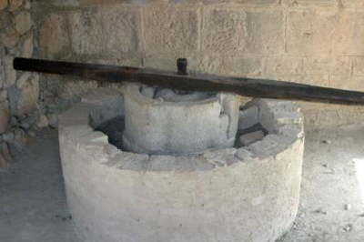Olive Press