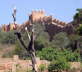 Kasbah Walls